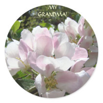 MY GRANDMA! Stickers APPLE BLOSSOMS Stickers