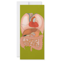 My Guts, Digestive Organs Custom Rack Card