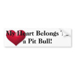 My heart belongs to a Pit Bull Bumper Sticker