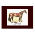My Heart My Horse Recipe Card business cards