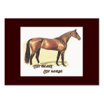 My Heart My Horse Recipe Card business cards