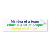 My Idea of a Team Effort...