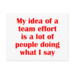 My Idea of a Team Effort...