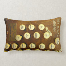 My ideal organ lumbar pillow
