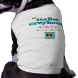 My Italian Greyhound is All That! pet clothing