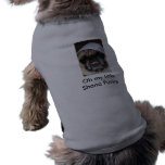 My Jewish Pug pet clothing