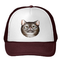 My Kitty's Expressions Hat