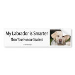 My Labrador is Smarter Than Your Honour Student Bu