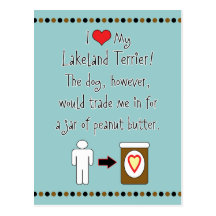 My Lakeland Terrier Loves Peanut Butter Postcards