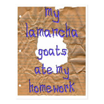 My LaMancha Goats Ate My Homework Postcard
