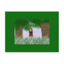 my life in the woods.... post cards