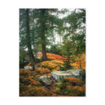 MY LIFE IS NOT THIS VERTICAL HOUR POSTCARDS