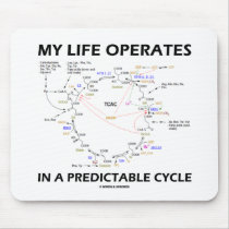 My Life Operates In A Predictable Cycle (Krebs)