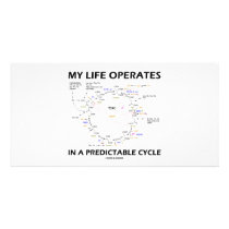 My Life Operates In A Predictable Cycle (Krebs)