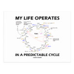 My Life Operates In A Predictable Cycle (Krebs) Postcards