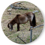 My Little Pony Button