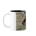 My Little Pony Mug