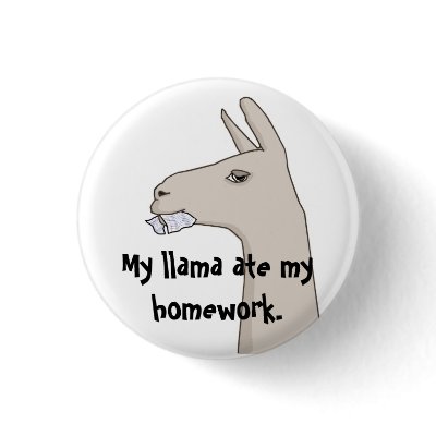 My Llama Ate My Homework. Pinback Buttons
