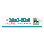 My Mal-Shi is All That! bumper stickers
