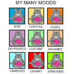 MY MANY MOODS t-shirts
