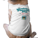 My Miniature Pinscher Mix is All That! pet clothing