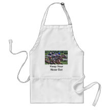 My Miss Aurelia "The Adirondack" Aprons