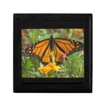 My Monarch Butterfly-gift box
