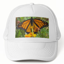 My Monarch Butterfly-hat