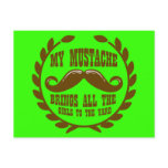 My Moustache Brings all the Girls to the Yard