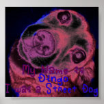 My Name is Dingo1 Poster