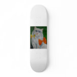my new look skateboard decks