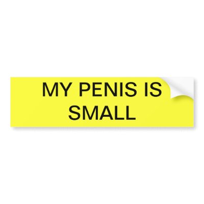 MY PENIS IS SMALL BUMPER STICKERS by paleprudence