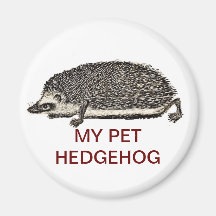 MY PET HEDGEHOG - You Should Get One Fridge Magnet