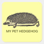 MY PET HEDGEHOG - You Should Get One Sticker