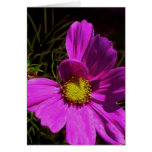 My Petal Is Stuck Card