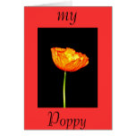 My Poppy cards