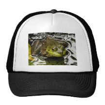 My Prince Mesh Hats