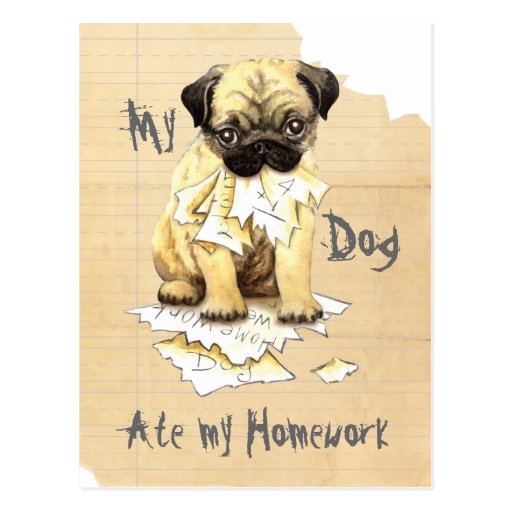 My Pug Ate My Homework Postcards | Zazzle
