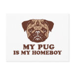 My Pug is my Homeboy