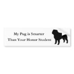My Pug is Smarter