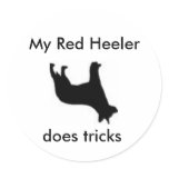 My Red Heeler does tricks Round Sticker