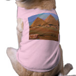 My Riley at the Pyramids in Giza pet clothing
