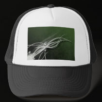My Sanity hats