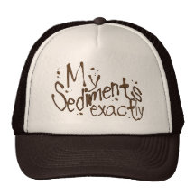 My Sediments Exactly Hat