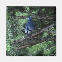 my stuff3 013 refrigerator magnet