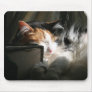My sunbeam use pad
