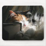 My sunbeam mousepads