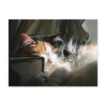 My sunbeam postcards