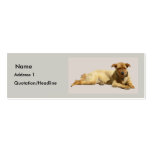 "My Sweet Dog" Business Card