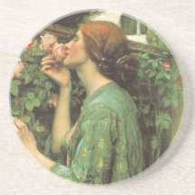 My Sweet Rose (Soul of the Rose) by Waterhouse Drink Coaster